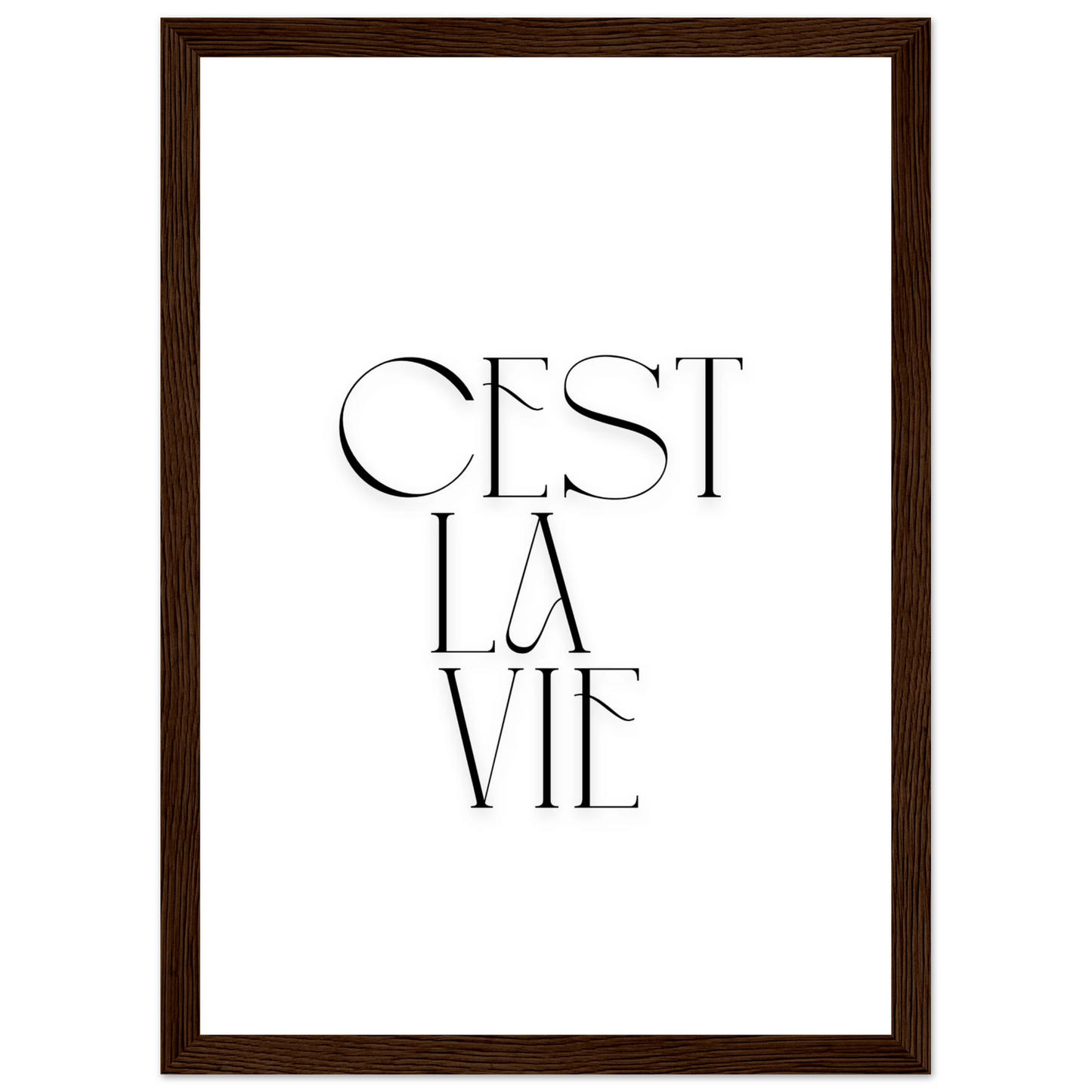 00c95e5f-ba60-40f4-b3aa-ceb623ed7cb0