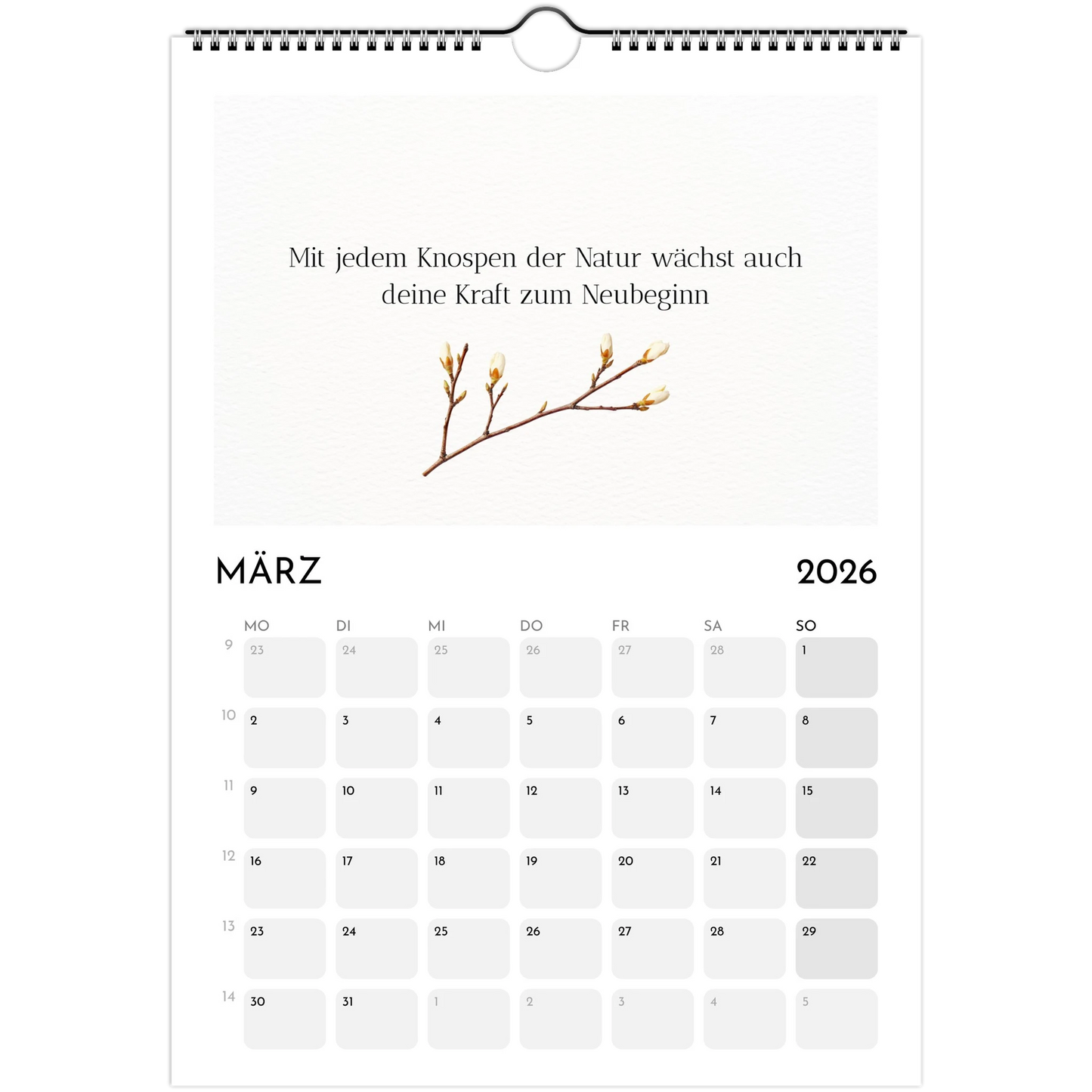 6edf150e-31df-454e-9b8b-1f0fa77c3dbd