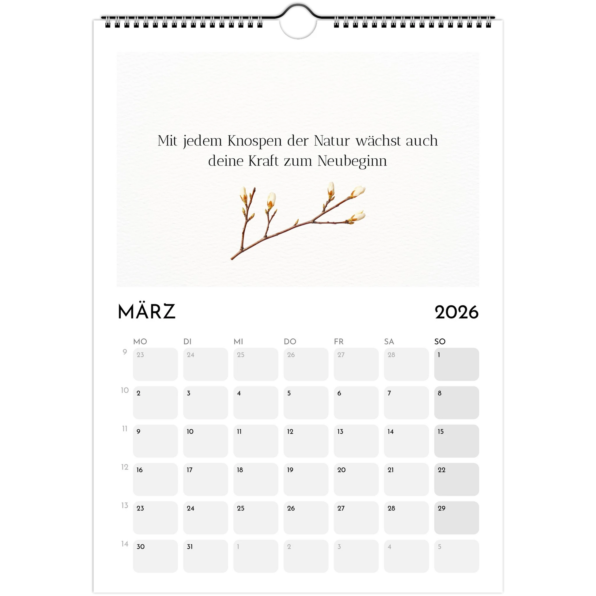 6edf150e-31df-454e-9b8b-1f0fa77c3dbd