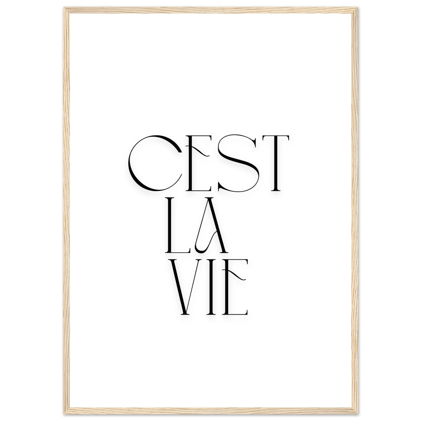 c08d0cb9-9597-4faf-85b6-569d0fc6f290